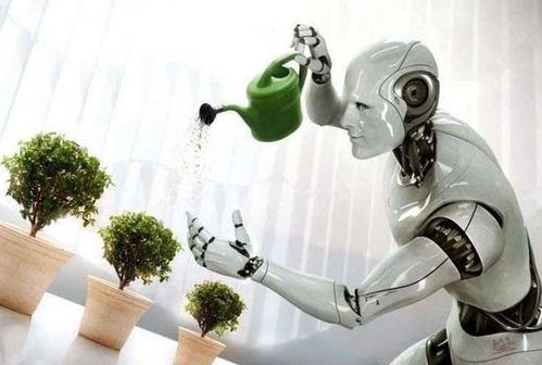 讓家庭機(jī)器人成標(biāo)配 我們還需跨越哪些山丘？